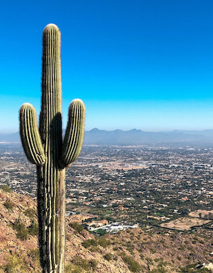 How to Spend 48 Hours in Scottsdale, Arizona