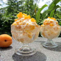 apricot frozen yogurt