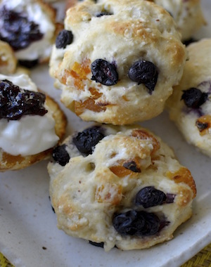 blueberry apricot scones